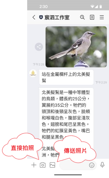 愛悠辨識圖片內容的 LINE 對話示意